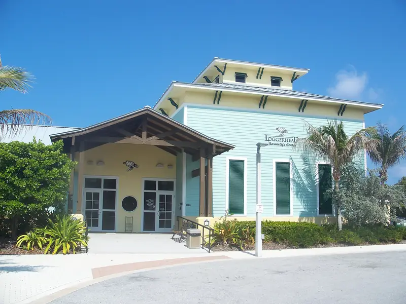 Loggerhead Marinelife Center, Juno Beach